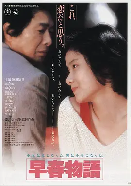 阳光灿烂的日子